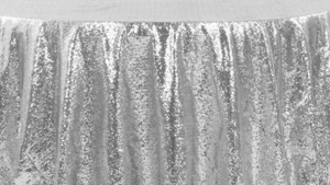 120 Rd Sequin - Silver rental Palm Beaches-Treasure Coast, FL