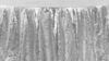 120 Rd Sequin - Silver rental in Palm Beaches-Treasure Coast, FL