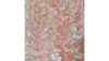 132"rd Leaf Petal - Blush / Ivory Mix rental in Palm Beaches-Treasure Coast, FL