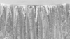90x156 Sequin- Silver rental in Palm Beaches-Treasure Coast, FL