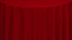 Red Polyester Cushion rental Palm Beaches-Treasure Coast, FL