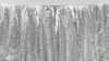 Drape 12x112 Silver Sequin rental in Palm Beaches-Treasure Coast, FL