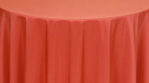 Napkins Polyester **Burnt Orange rental Palm Beaches-Treasure Coast, FL
