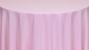 Napkin - Polyester * Light Pink rental Palm Beaches-Treasure Coast, FL