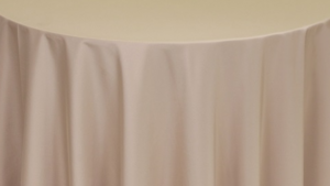 Napkins Polyester - **Cafe rental Palm Beaches-Treasure Coast, FL