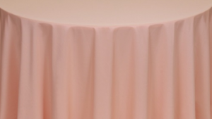 Napkin Polyester *Peach rental Palm Beaches-Treasure Coast, FL