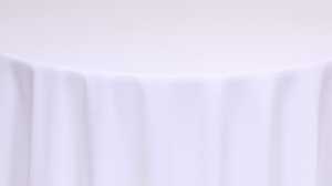 White Polyester - Napkins rental Palm Beaches-Treasure Coast, FL