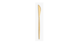 Luna Gold - Dinner Knife  (must be placed in Qt... rental Palm Beaches-Treasure Coast, FL