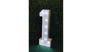 1  Marquee Number ONE 4ft rental Palm Beaches-Treasure Coast, FL