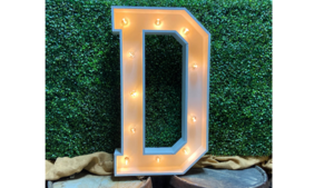 D Marquee Letter 4ft rental Palm Beaches-Treasure Coast, FL