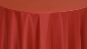 Napkin Polyester - *Terra Cotta rental Palm Beaches-Treasure Coast, FL