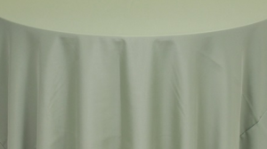 Napkins Polyester - **Sage rental Palm Beaches-Treasure Coast, FL