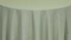 Napkins Polyester - **Sage rental in Palm Beaches-Treasure Coast, FL