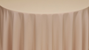 Napkins - Polyester ** Camel rental Palm Beaches-Treasure Coast, FL