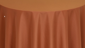 Napkins - Polyester * Copper rental Palm Beaches-Treasure Coast, FL