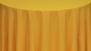 Napkin - Polyester *Mango rental Palm Beaches-Treasure Coast, FL
