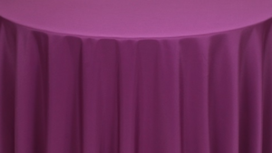 Napkin - Polyester * Plum rental Palm Beaches-Treasure Coast, FL