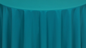 Napkin - Polyester * Teal rental Palm Beaches-Treasure Coast, FL