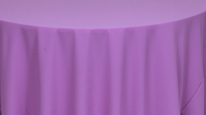 Napkin - Polyester * Violet rental Palm Beaches-Treasure Coast, FL