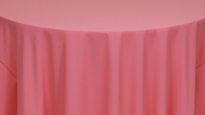 Napkin - Polyester * Salmon rental Palm Beaches-Treasure Coast, FL