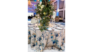 Aria - Blue rental Palm Beaches-Treasure Coast, FL