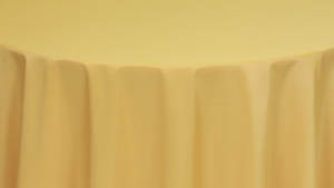 Napkin - Polyester *Gold rental Palm Beaches-Treasure Coast, FL
