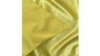 Dupioni - Lemon * rental in Palm Beaches-Treasure Coast, FL