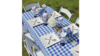 Gingham Royal Check - Polyester rental in Palm Beaches-Treasure Coast, FL