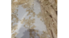 Gold Laylani Lace 85"x85" (Overlay) rental in Palm Beaches-Treasure Coast, FL