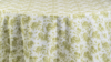 French Toile *Avocado rental in Palm Beaches-Treasure Coast, FL