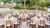 Fruitwood Chiavari With Cushion rental in San Diego, CA