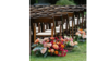 Fruitwood Folding Chair With Pad rental in San Diego, CA