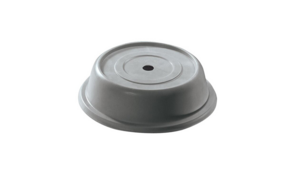 Round Plastic Plate Cover - Grey rental San Diego, CA
