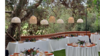 Serena Pendant Light rental in San Diego, CA
