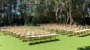 Raw Tinted Bentwood Chair rental in San Diego, CA