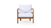Modern Coastal Club Chair rental in San Diego, CA