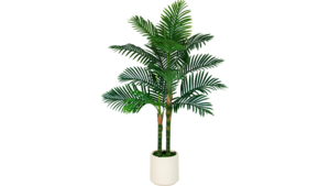 5ft Golden Cane Palm Artificial Tree rental San Diego, CA