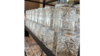 Vintage Rocks Glass rental in San Diego, CA