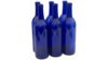 Bottle Dark Blue rental in Southern Utah, UT