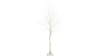 6' White Birch Trees With Lights rental in Southern Utah, UT