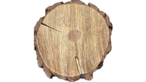 Wood Slice Assorted rental Southern Utah, UT
