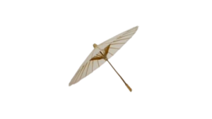 Parasol Paper White rental Southern Utah, UT