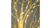 3' White Birch Light Tree rental in Southern Utah, UT