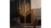 4' White Birch Light Tree rental in Southern Utah, UT
