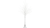 4' White Birch Light Tree rental in Southern Utah, UT