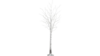 7' White Birch Light Tree rental in Southern Utah, UT