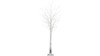 9' White Birch Light Tree rental in Southern Utah, UT