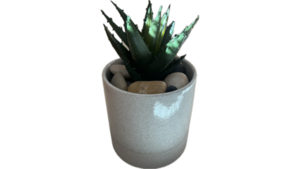 Potted Greenery rental Southern Utah, UT