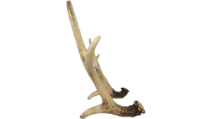 Antler Sheds rental Southern Utah, UT