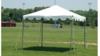10'X10' Frame Tent - White Top rental in Palm Beaches-Treasure Coast, FL